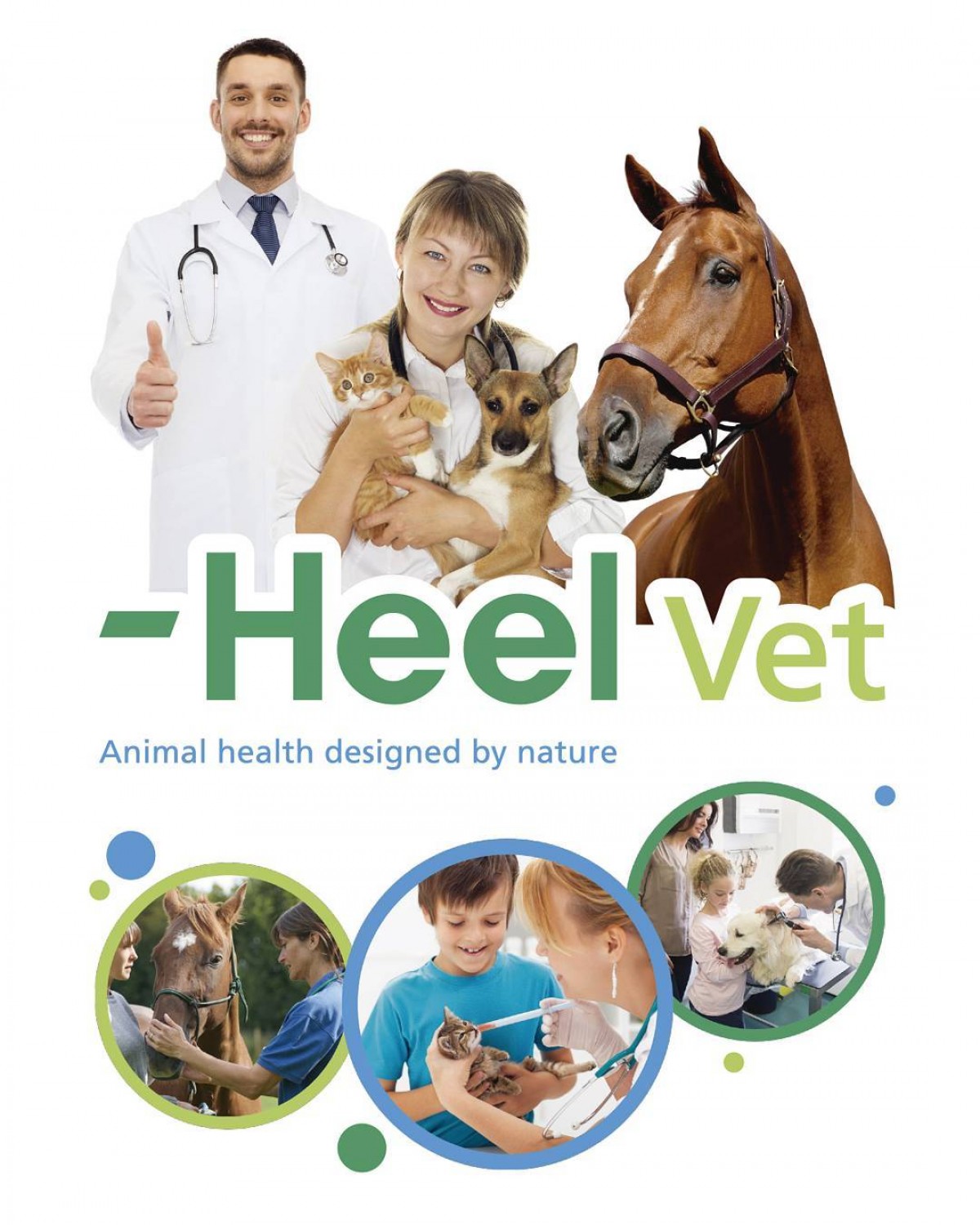 VÍDEO: Utiliza Ya El Protocolo De Competencia Para La Mundial, -HEEL VET