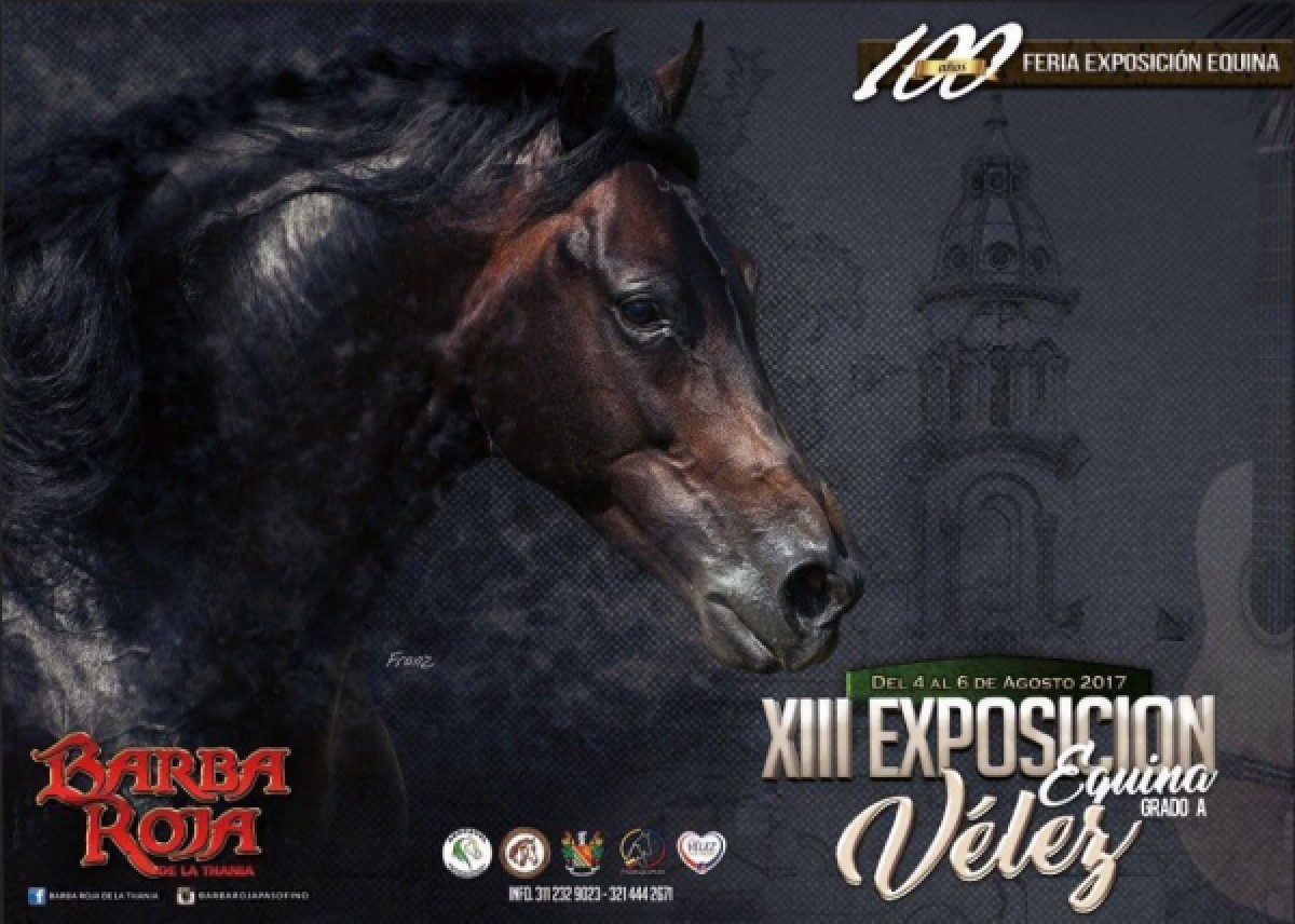 TRANSMISIÓN XIII EXPOSICIÓN EQUINA GRADO A VÉLEZ - SANTANDER 4 AL 6 AGOSTO
