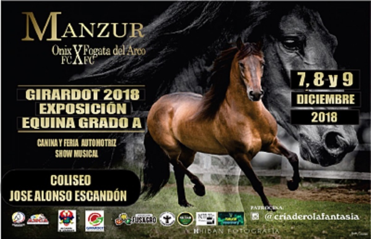 RESULTADOS Exposición Equina Grado A Girardot 2018 - PASO FINO COLOMBIANO 