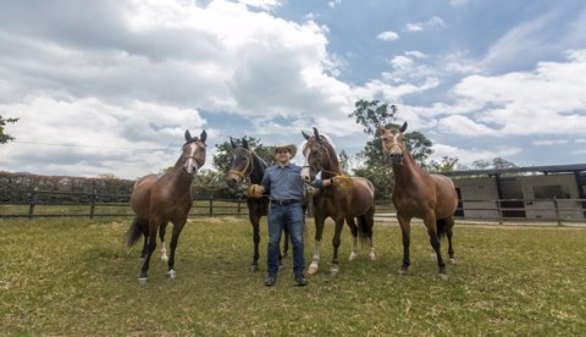 Estamos Trabajando En Impulsar Los Otros Andares En El Mercado Externo,Asdesilla