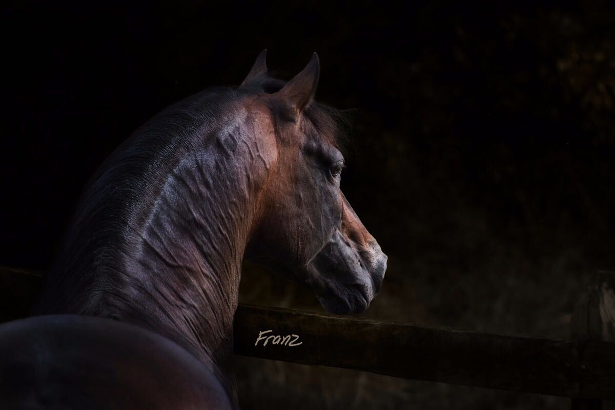 VÍDEO: Atractivo Ya Se Encuentra En Bogotá Entrenando !!!
