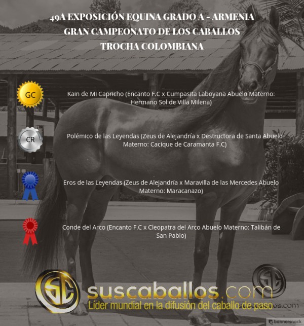 https://www.suscaballos.com/VÍDEO: Kain Campeón, Polémico Reservado, Trocha Colombiana - Armenia 2017