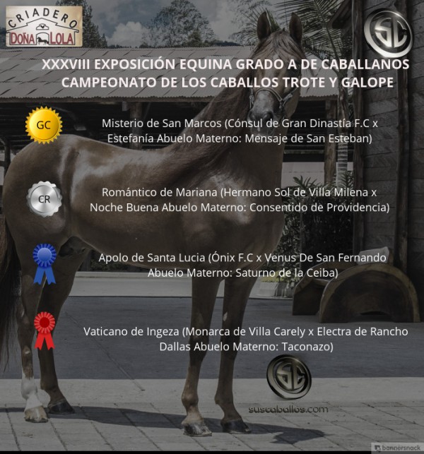 https://www.suscaballos.com/VÍDEO: Misterio Campeón, Romántico Reservado, Trote Y Galope, Caballanos 2018