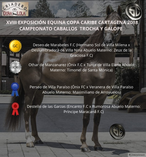 https://www.suscaballos.com/VÍDEO: Deseo Campeón, Othar Reservado, Trocha Y Galope, Copa Caribe Cartagena