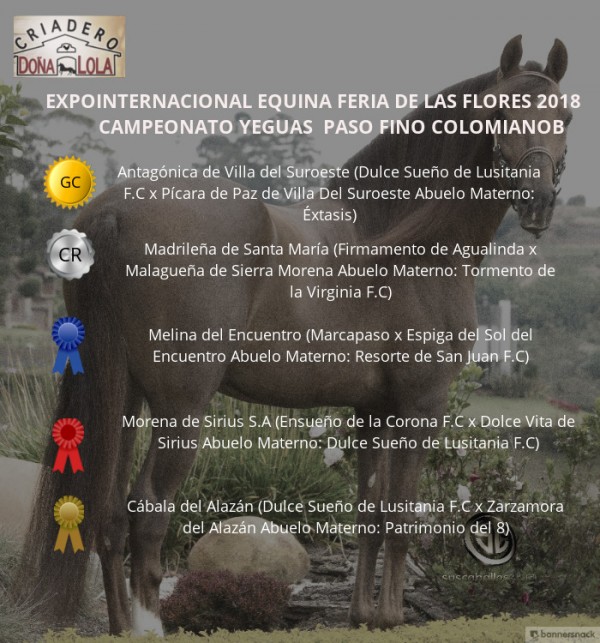 https://www.suscaballos.com/VÍDEO: Antagónica Campeona, Madrileña Reservada, Paso Fino, Flores 2018
