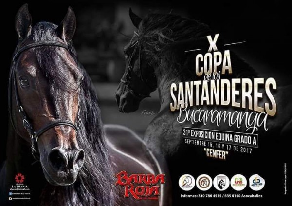 https://www.suscaballos.com/RESULTADOS X Copa Los Santanderes Grado A Bucaramanga - TROTE  Y GALOPE