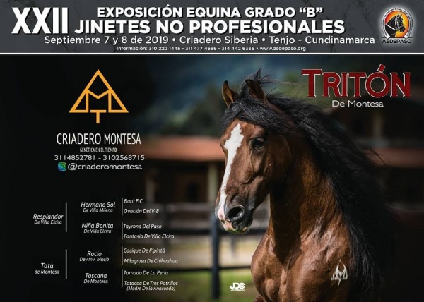 https://www.suscaballos.com/XXII Exposición Equina Grado B, Jinetes No Profesionales, 7 y 8 De Septiembre
