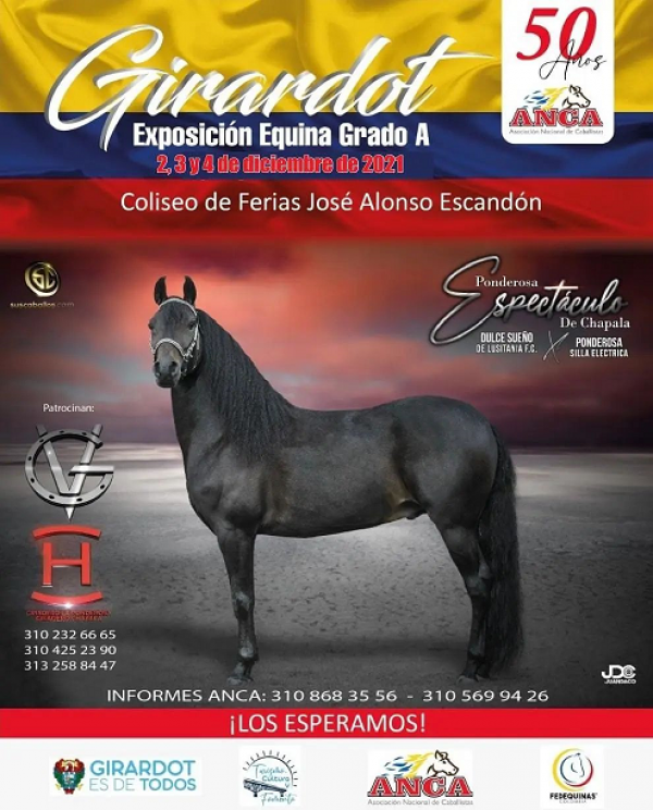 https://www.suscaballos.com/EXPOSICION EQUINA GRADO A GIRARDOT