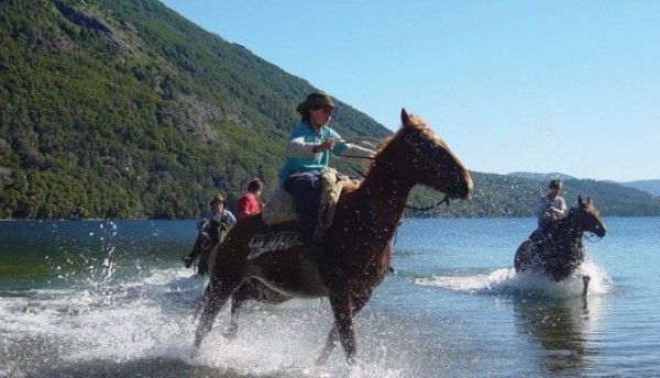 https://www.suscaballos.com/Investigación Confirma Que El Contacto Con Caballos DISminuye El Estrés En Niños