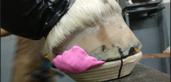 https://www.suscaballos.com/Un zapato de madera que mejora la infosura