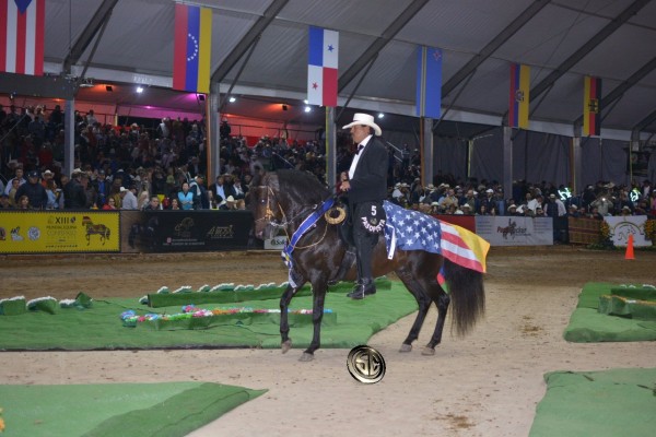 https://www.suscaballos.com/RESULTADOS XIII MUNDIAL EQUINA CONFEPASO 2017 -DÍA SÁBADO
