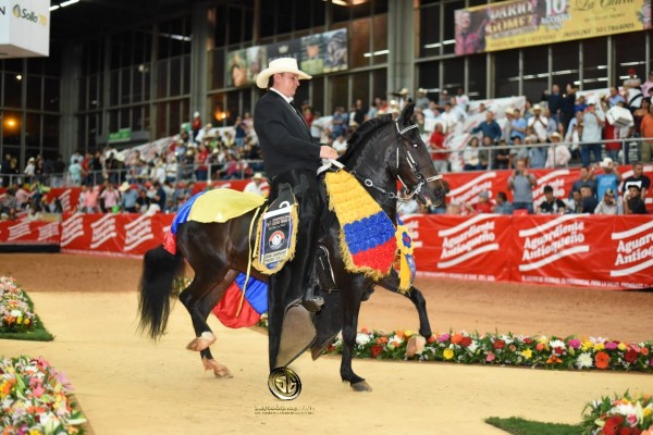 https://www.suscaballos.com/RESULTADOS 60 años Expointernacional Equina Feria de Flores 2018 - TROCHA Y GALOPE