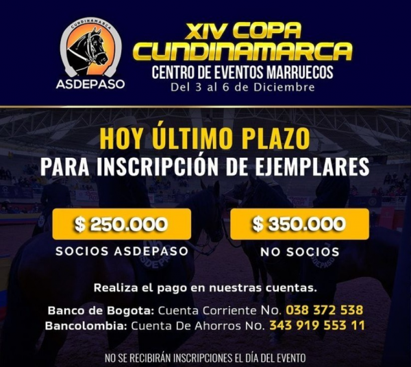 https://www.suscaballos.com/HOY ÚLTIMO PLAZO PARA LA INSCRIPCIÓN DE EJEMPLARES.