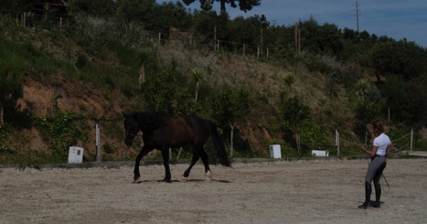 https://www.suscaballos.com/II La Cuerda, ¿entreno o tortura?