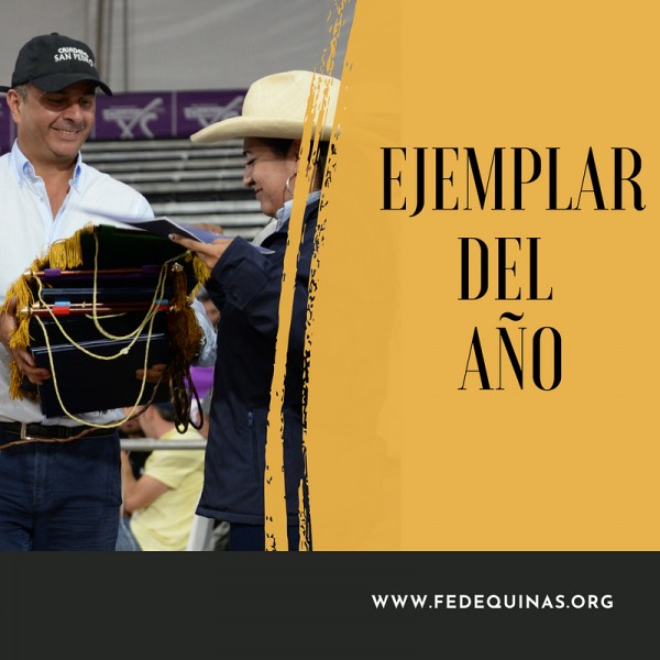 https://www.suscaballos.com/Fedequinas: Ejemplar del Año, Empezará a Regir A Partir del 1 De Enero del 2019