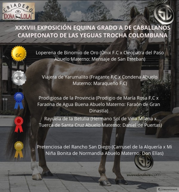https://www.suscaballos.com/VÍDEO: Loperena Campeona, Viajera Reservada, Trocha Colombiana, Caballanos 2018