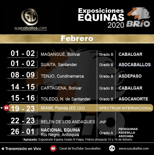 https://www.suscaballos.com/Exposiciones equinas FEBRERO de 2020
