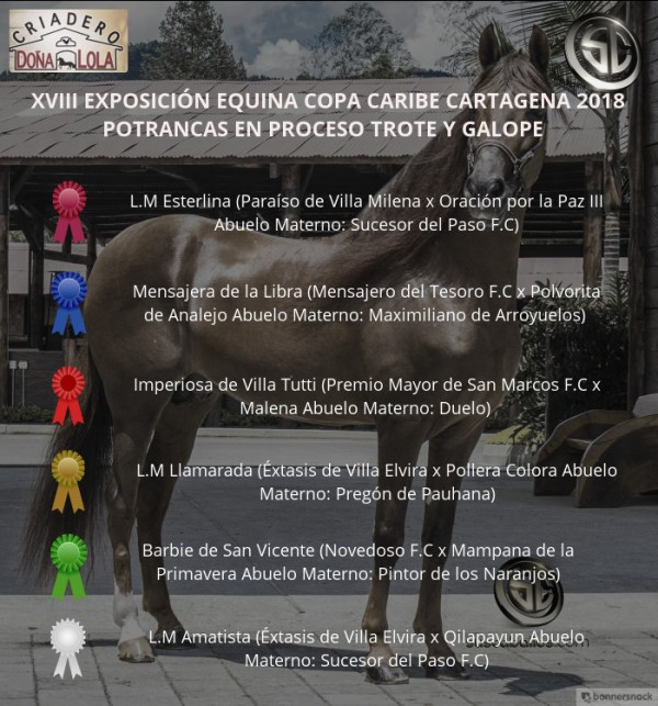 https://www.suscaballos.com/VÍDEO: L.M Esterlina Mejor, Mensajera 1P, Potrancas Del Trote Y Galope,Cartagena