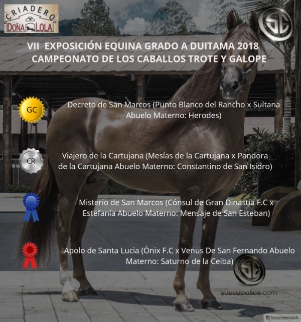 https://www.suscaballos.com/VÍDEO: Decreto Campeón, Viajero Reservado, Trote Y Galope, Duitama 2018