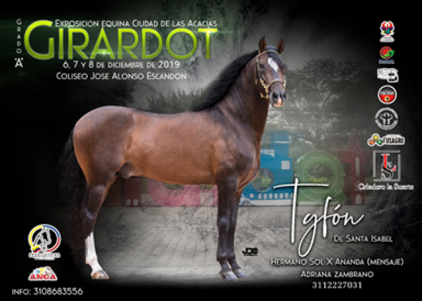 https://www.suscaballos.com/TRANSMISI&Oacute;N Exposici&oacute;n Equina Grado A Girardot, 6 al 8 de Diciembre