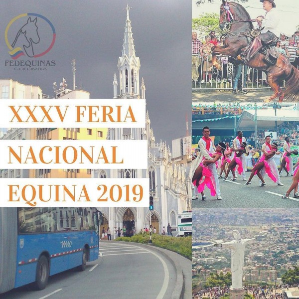 https://www.suscaballos.com/Cali Será La Sede De la XXXV Feria Nacional Equina 2019