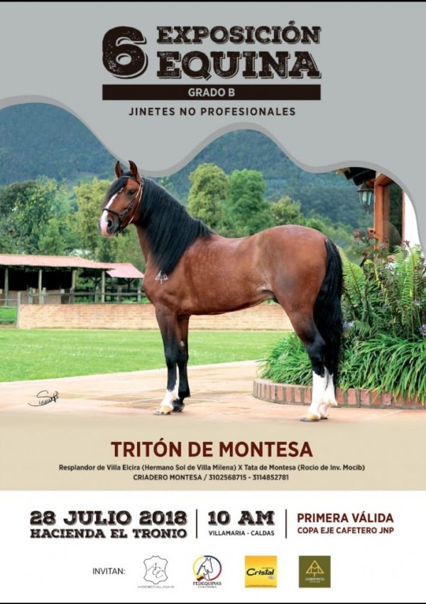https://www.suscaballos.com/6ta Exposición Equina Grado B Jinetes No Profesionales, 28 De Julio