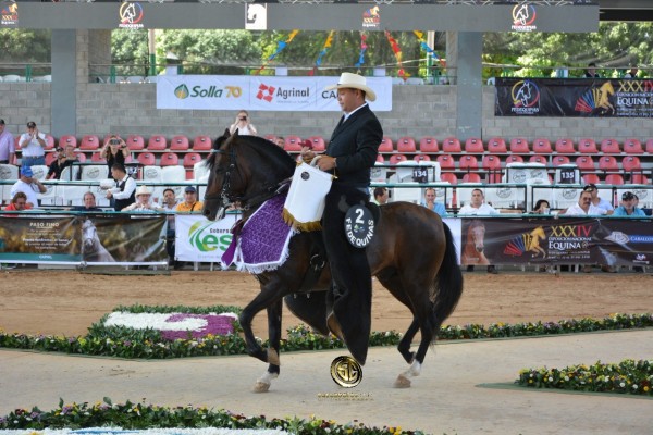 https://www.suscaballos.com/VÍDEO: Zafiro Mejor, L.M Ministro 1P, Potros Trote Y Galope, Nacional 2018