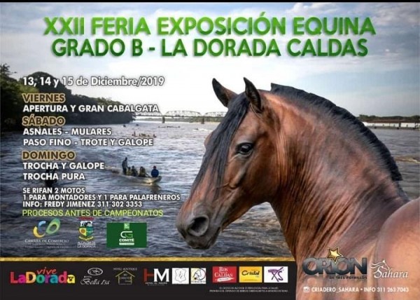 https://www.suscaballos.com/TRANSMISIÓN XXII Exposición Equina Grado B La Dorada- Caldas 14 y 15 Diciembre