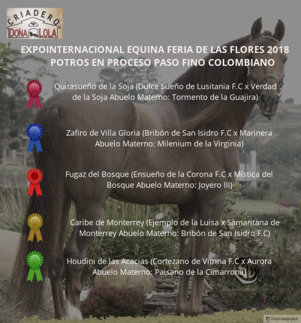https://www.suscaballos.com/VÍDEO:Quitasueño Mejor,Zafiro 1P,Potros del Paso Fino Colombiano,Feria de Flores