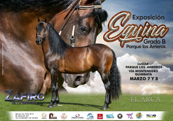 https://www.suscaballos.com/Exposición Equina Grado B @parquelosarrieros Organiza: @cabaquinarmenia
