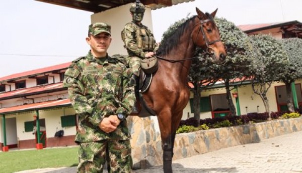 https://www.suscaballos.com/Así Funcionan Tres Criaderos Que Cuidan a Los Equinos Del Ejército