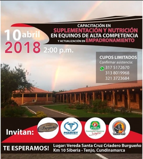 https://www.suscaballos.com/Capacitación en Suplementación y Nutrición en Equinos, 10 de Abril
