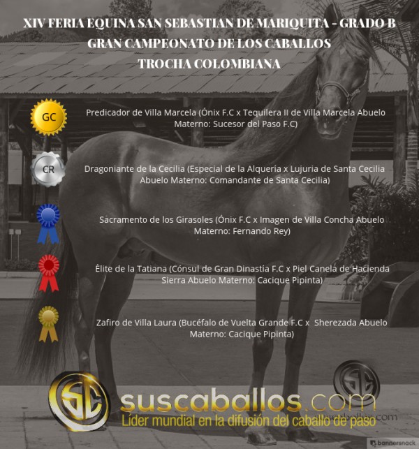 https://www.suscaballos.com/VÍDEO: Predicador Campeón,Dragoniante Reservado, Trocha, San Sebastián De Mariq