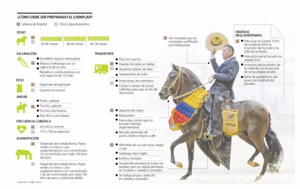 https://www.suscaballos.com/Conozca Cómo Debe Ser Preparado Un Equino Para Competencia Grado A