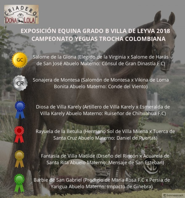 https://www.suscaballos.com/VÍDEO: Salome Campeona, Sonajera Reservada, Trocha Colombiana, Villa de Leyva