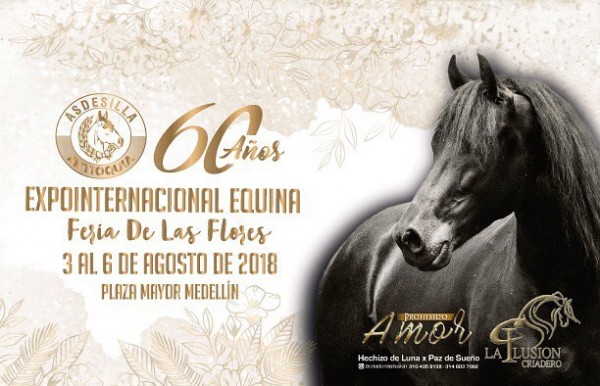 https://www.suscaballos.com/Este año mejor imposible, 60 Años Feria de las Flores!!