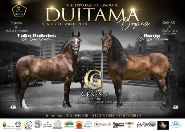 https://www.suscaballos.com/VIII Expo Equina Grado A, Duitama - Boyacá. 5 Al 7 de Abril