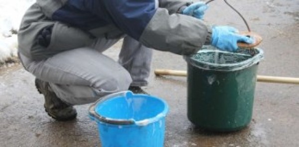 https://www.suscaballos.com/Limpieza de los cubos del pienso: ¿cuándo, cómo y por qué?