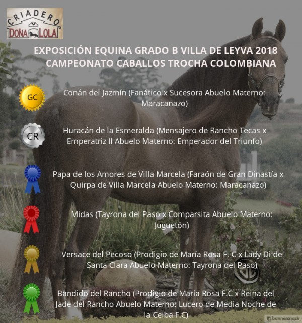 https://www.suscaballos.com/VÍDEo:Conán Campeón,Huracán Reservado, Trocha Colombiana, Grado B Villa de Leyva