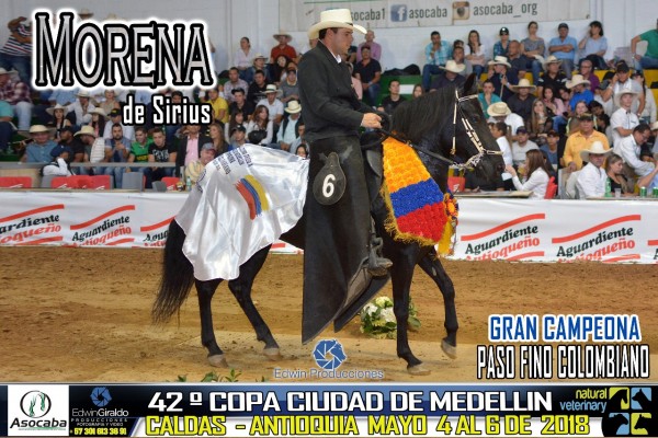 https://www.suscaballos.com/RESULTADOS 42 Copa Ciudad de Medellín Grado A, Asocaba - PASO FINO COLOMBIANO