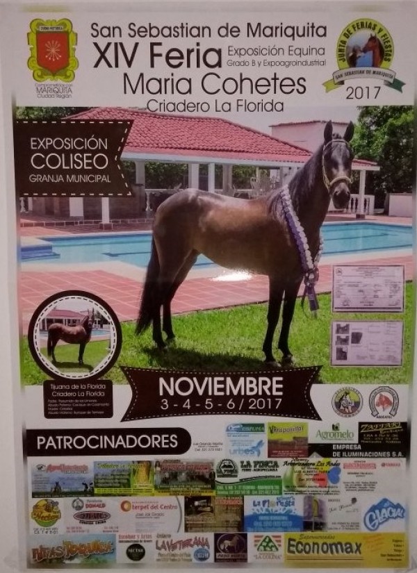 https://www.suscaballos.com/RESULTADOS XIV Feria Equina San Sebasti&aacute;n De Mariquita Grado B - TROCHA COLOMBIANA