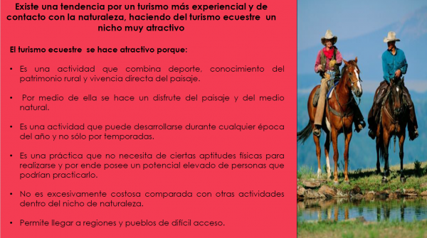https://www.suscaballos.com/Turismo ecuestre - Procolombia - Fedequinas