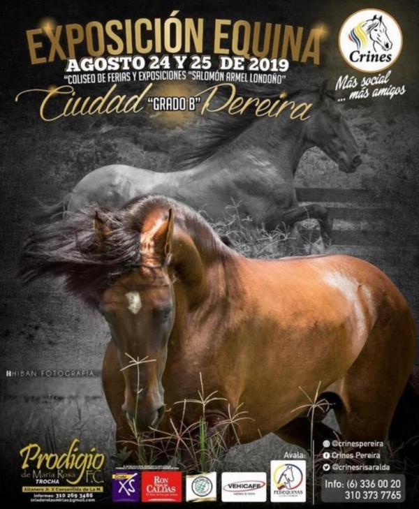 https://www.suscaballos.com/Exposición Equina Grado B Ciudad de Pereira, 24 y 25 de Agosto