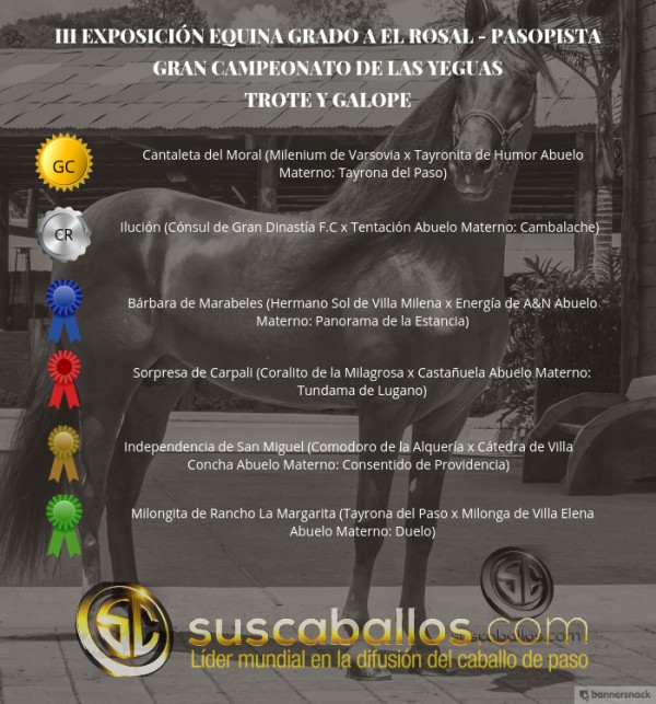 https://www.suscaballos.com/VÍDEO: Cantaleta Campeona, Ilución Reservada, Trote Y Galope, III Exposabana