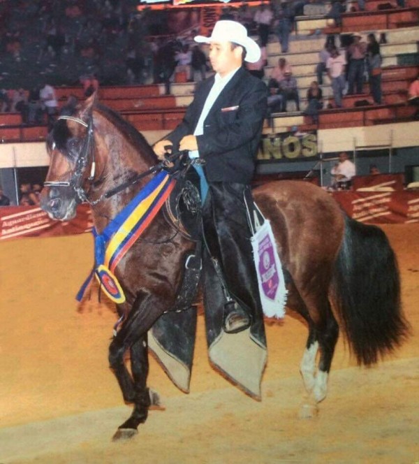 https://www.suscaballos.com/Recordemos Al Caballo Rey VI de la Trocha