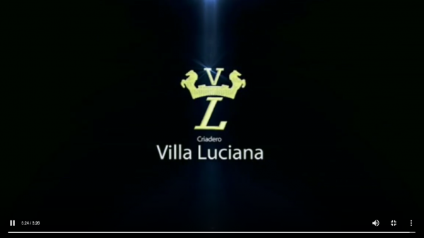 https://www.suscaballos.com/Criadero Villa Luciana