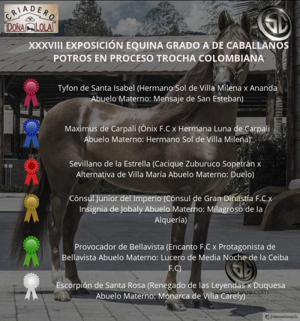 https://www.suscaballos.com/VÍDEO: Tyfon Mejor, Maximus 1P, Potros Trocha Colombiana, Caballanos 2018