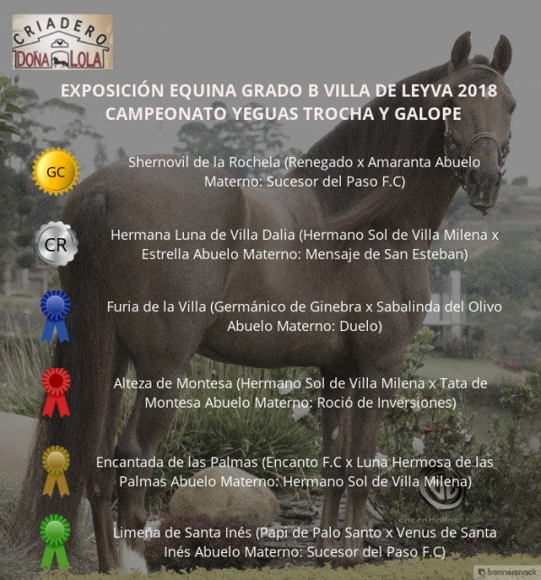https://www.suscaballos.com/VÍDEO: Shernovil Campeona, Hermana Reservada, Trocha Y Galope, Villa De Leyva