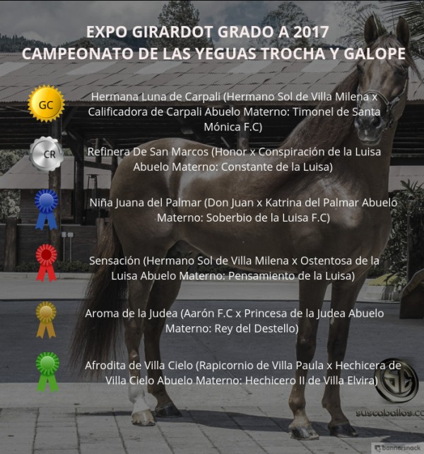 https://www.suscaballos.com/VÍDEO: Hermana Luna Campeona, Refinera Reservada, Trocha y Galope, Expo Girardot