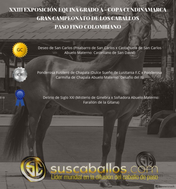 https://www.suscaballos.com/VÍDEO:Deseo Campeón, Ponderosa Reservado,Paso Fino Colombiano, Copa Cundinamarca